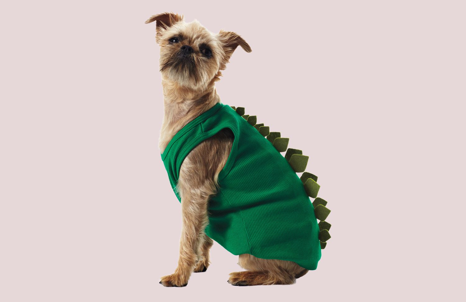 Learn how to Make a a Doggie Dinosaur Costume